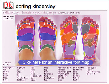 Foot Reflexology Chart