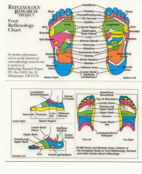 Foot Reflexology Chart