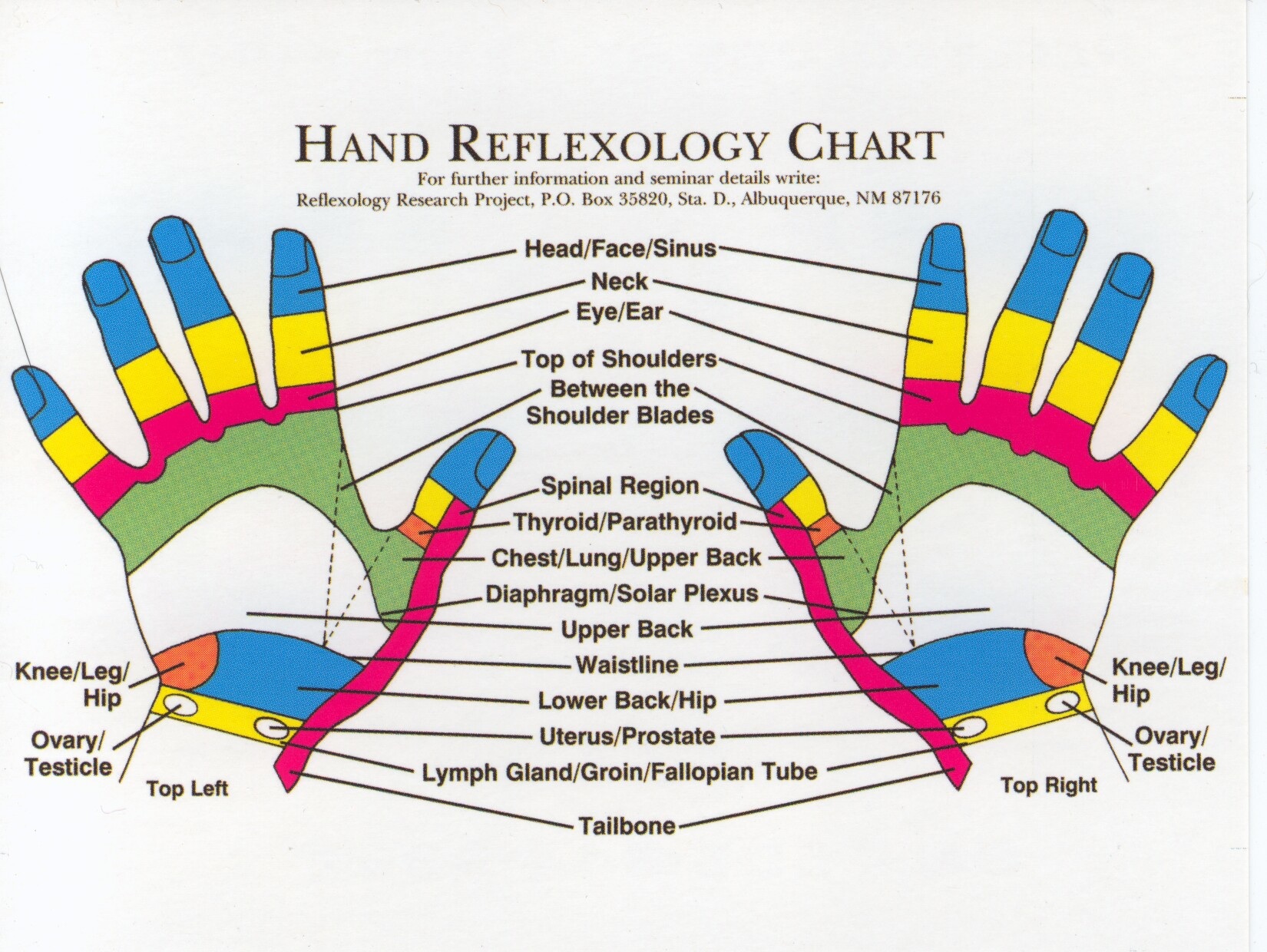 Hand Reflexology Charts